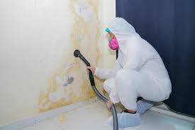 Best Real Estate Mold Inspection in Manawa, WI